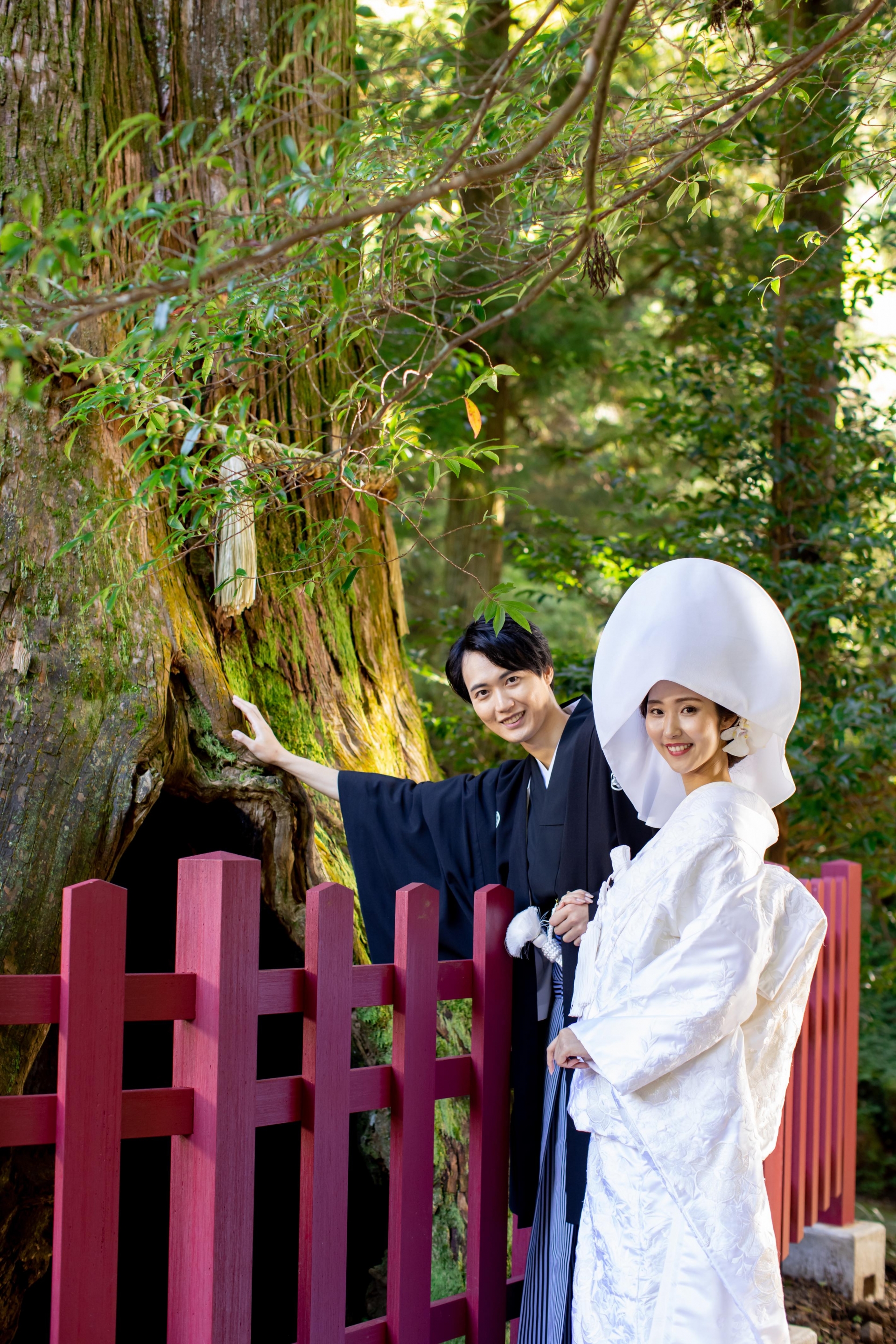 箱根神社の魅力 公式 箱根神社の結婚式 フォト撮影 家族婚は ハコハナ