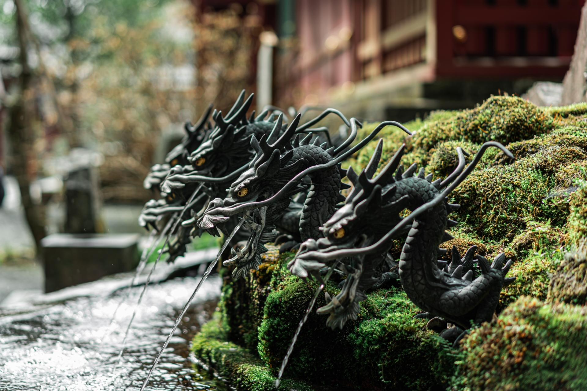 箱根神社手水舎