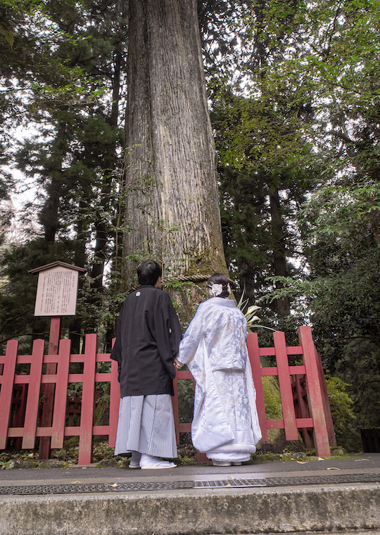 箱根神社　結婚式