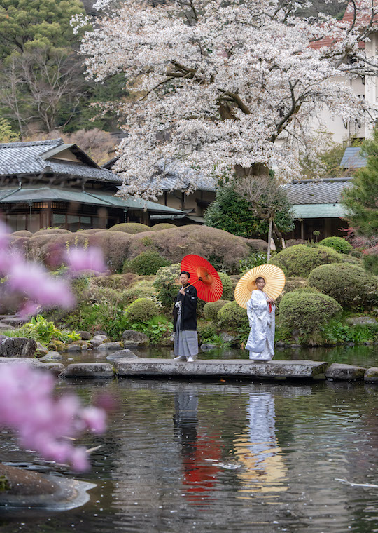 箱根神社 結婚式